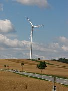 IMG_0469