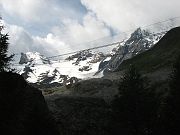 IMG_0523