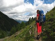 IMG_0529