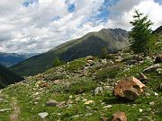 IMG_0538