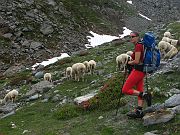 IMG_0552