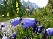 IMG_0874