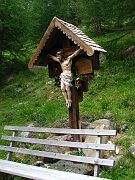IMG_0946