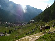 IMG_0972