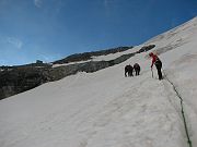 IMG_1132