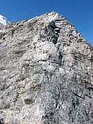 IMG_1239