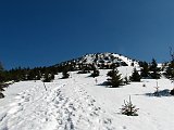 IMG_2223
