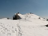 IMG_2229