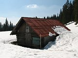 IMG_2241