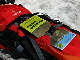 IMG_9114