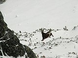 IMG_2084