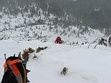 IMG_8819