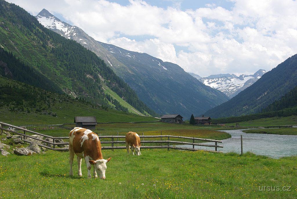 IMGP3090.JPG - Kousek proti proudu nad horní hranou vodopádu se náhle voda zklidňuje. Pohled na malebné údolí Krimmlerltal stojí za to