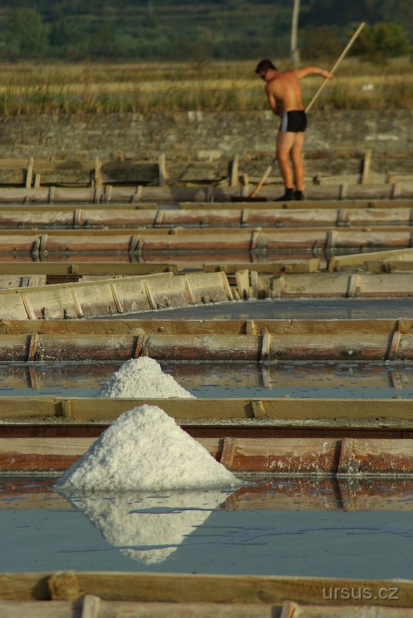 IMGP9045.JPG - Zde se metodou odpařování mořské vody těží kuchyňská sůl.