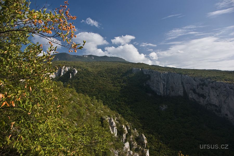 IMGP9347-2.jpg - Na zpáteční cestě se zastavujeme u krasového kaňonu Vela Draga. Místní vápencové stěny mně lákají ke skalnímu lezení. Není divu- vždyť Vela Draga patří k tomu nejlepšímu, co může Chorvatsko pro lezce nabídnout.