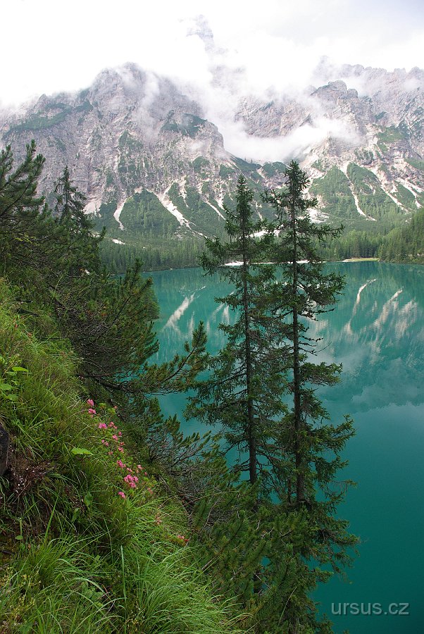 IMGP5614.JPG - Pragser Wildsee je typické svou modro-zelenou barvou.