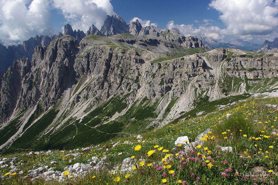 IMGP6199.JPG - Alpské louky a věžičky skupiny Cadini.