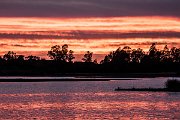 V NP Doñana stojí za návštěvu i krásné pobřeží s útesy i písečnými plážemi, desítkami lagun a lesy, ve kterých se vyskytuje vzácný rys iberský.