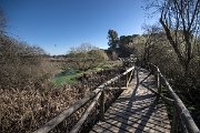 Nejvíce ptáků zde můžete pozorovat jaře (duben-květen), nebo na podzim, když jsou ptáci na tahu z/do Afriky.