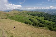 Zelené Pyreneje v provincii Navarra nám přípomínají naše milé Karpaty.